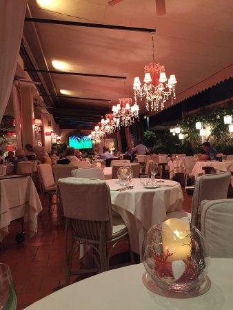La Scintilla